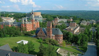 H17 cornell