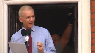 h04 assange warrant