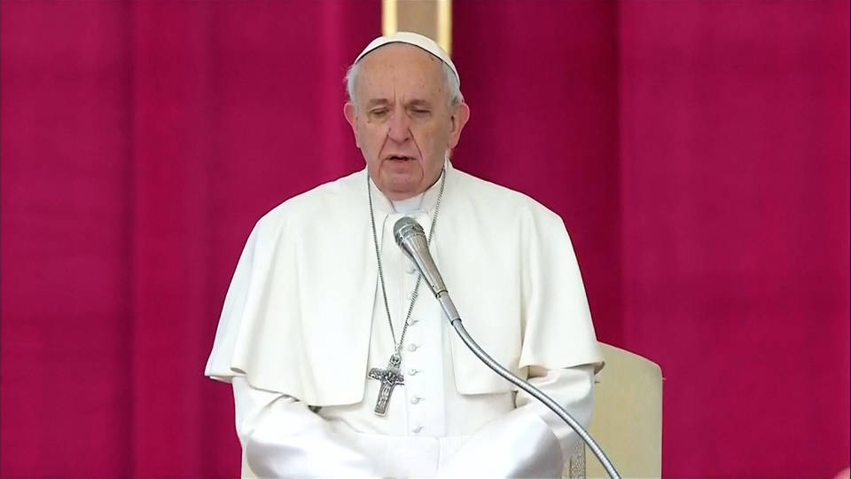 H1 pope abuse letter