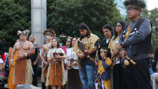 H11 indigenous la