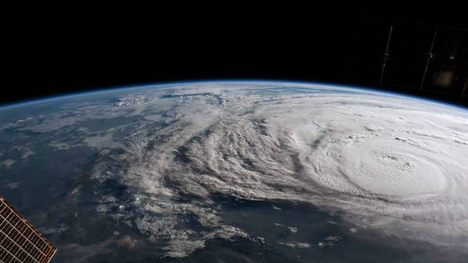 H01 irma
