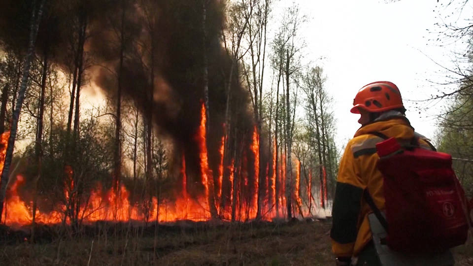 Más de 70 muertos en los incendios del norte de Argelia NOTIGUARO Incendios forestales dejan muertos en Argelia,