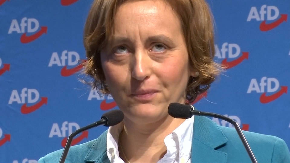H10 german afd