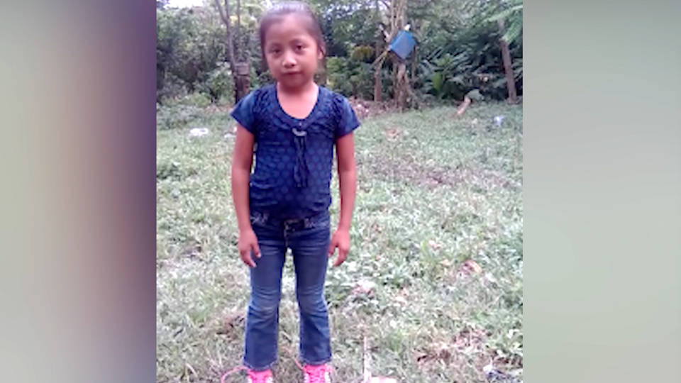 H6 jakelin