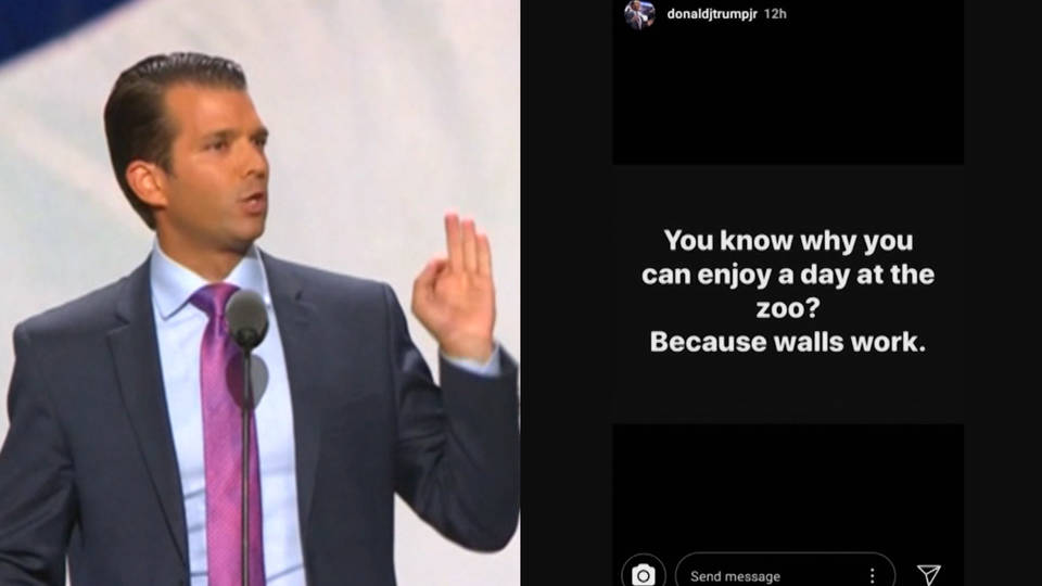 Trump jr ig post