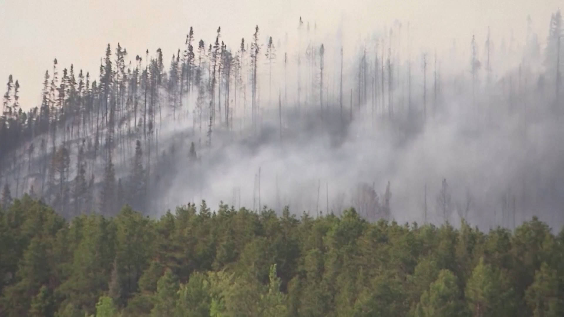 Air Quality Alerts Issued as Thick Smoke Blankets Large Swaths of U.S. and Canada