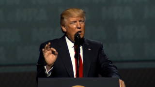H04 trump guns