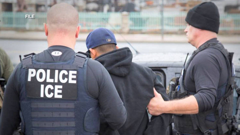 H5 tennessee ice raids