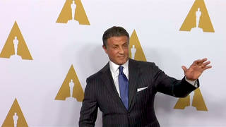 H15 stallone rape allegations