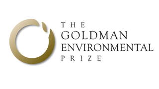 H13 goldman prize