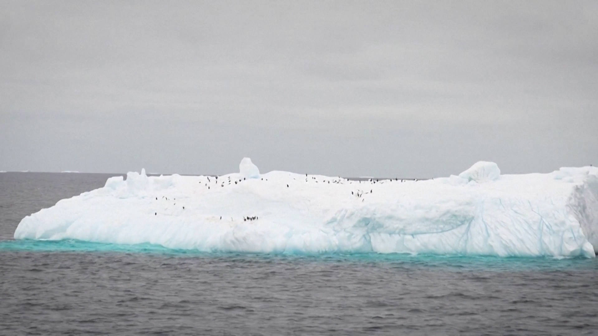 On the eve of the United Nations Climate Change Conference (COP28), the United Nations warns of the accelerating pace at which Antarctic sea ice is melting.