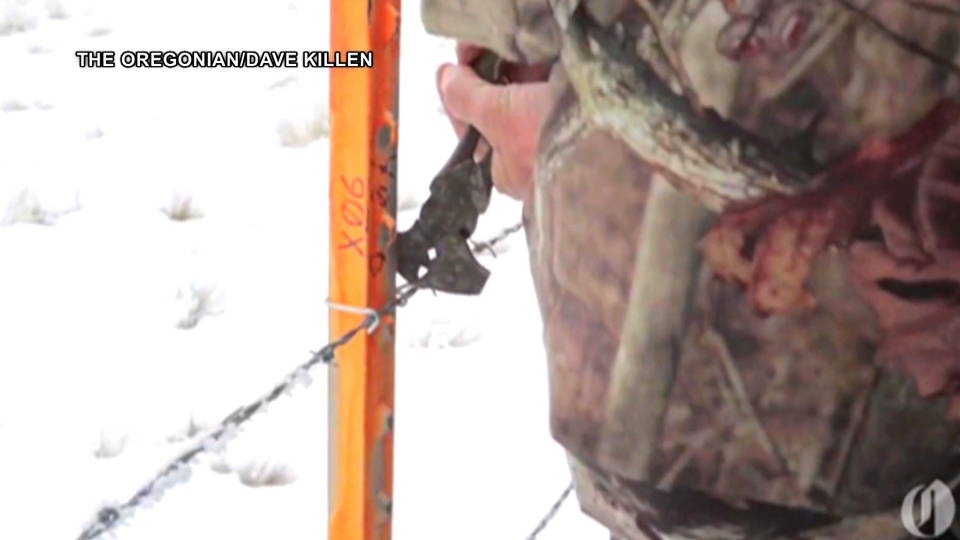 Hdlns16 oregonmilitia