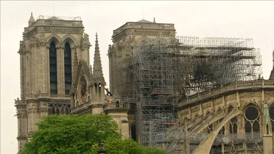 H7 notredame