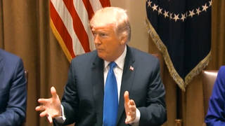 H1 trump guns