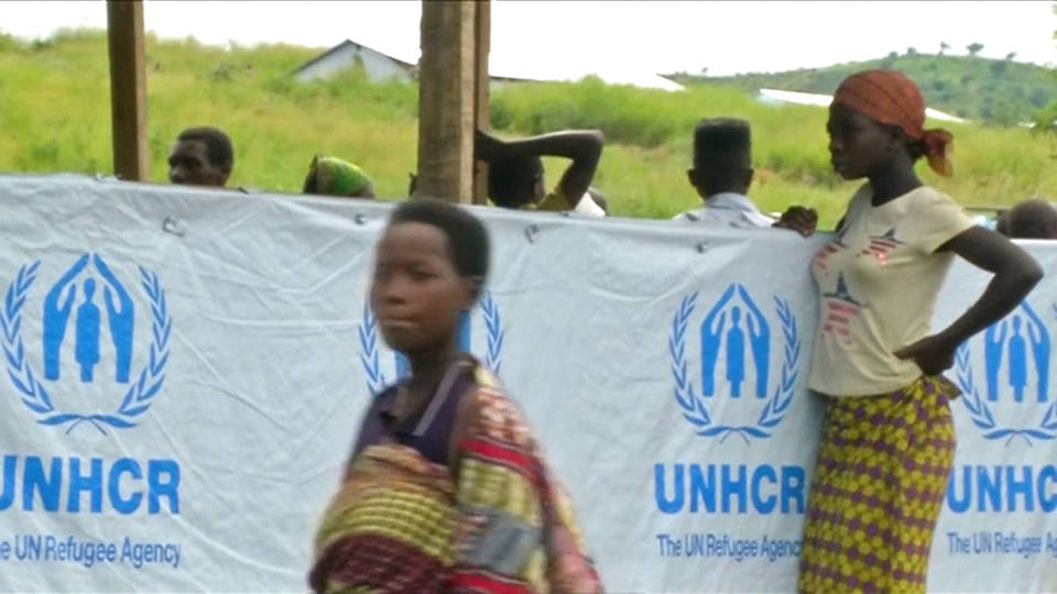 H11 unchr congo crisis