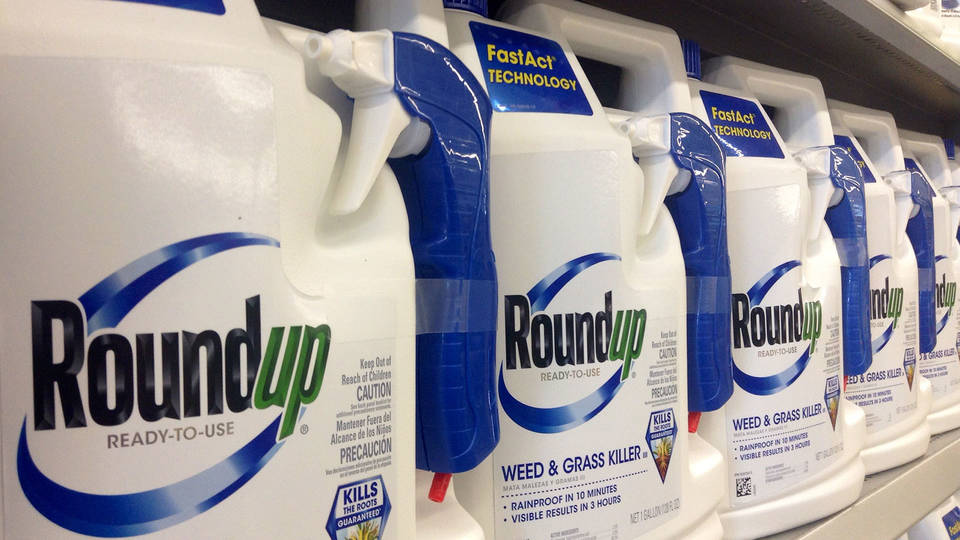 H13 roundup monsanto