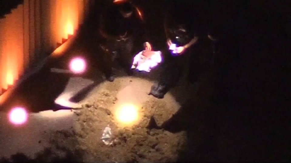 H2 horse manure mnuchin