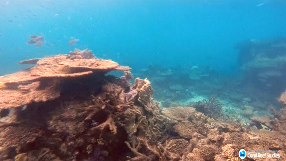 H5 ocean