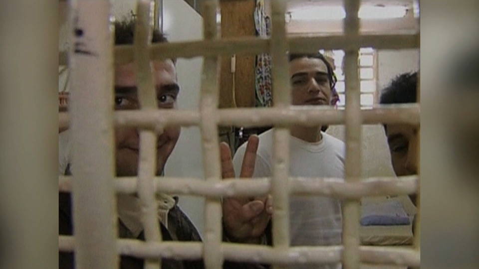 H10 palestinian protestors