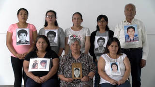 H17 peru family