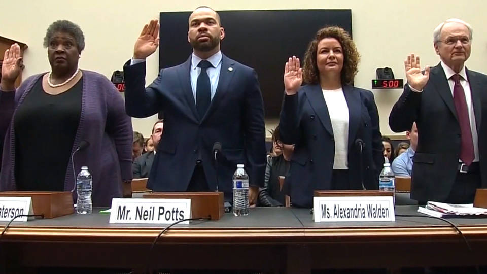 H13 congress white nationalism hearing