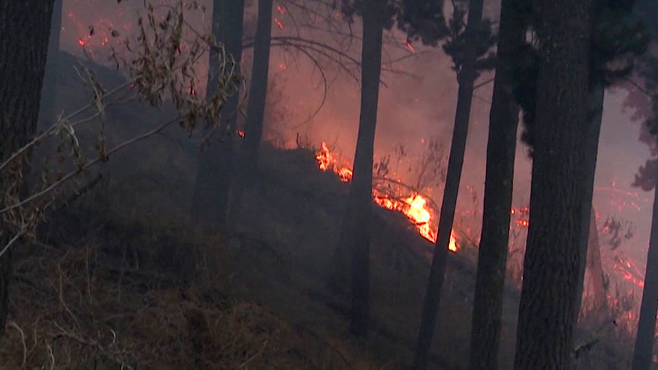 H5 bolivia rain amazon fires climate morales