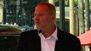 h11 weinstein
