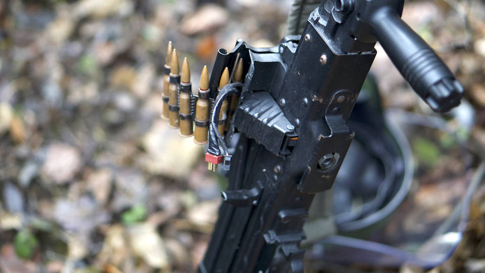 H14 new zealand bans assault weapons