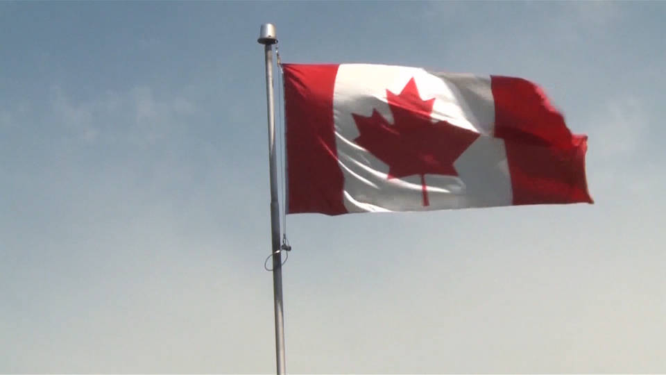 Hd7 canada