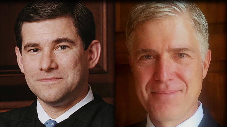 H11 supreme court picks