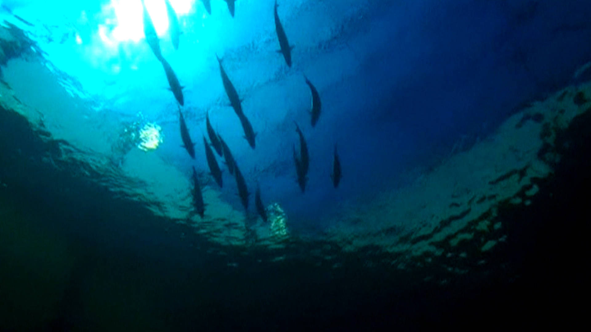 Report: Oceans Warming Much Faster Than Previously Thought