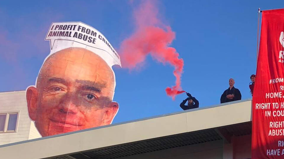 H13 whole foods protest san francisco animal rights activists direct action everwhere amazon factory farms jeff bezos