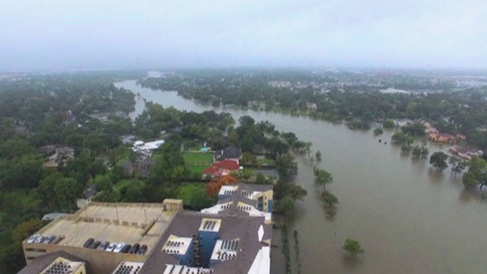 H01 harvey