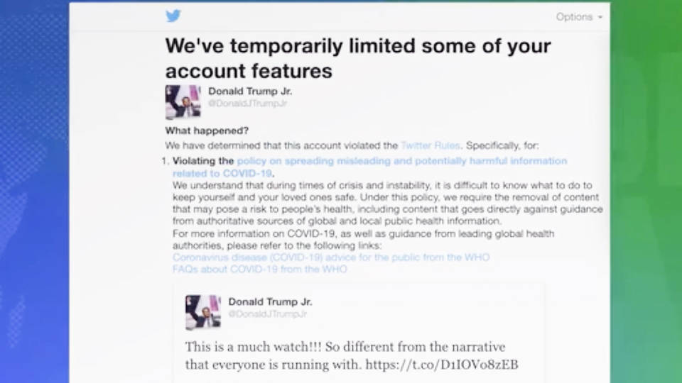 donald trump jr twitter like donald trump jr twitter like