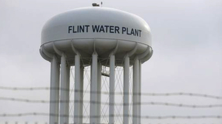 Hdls15 flint