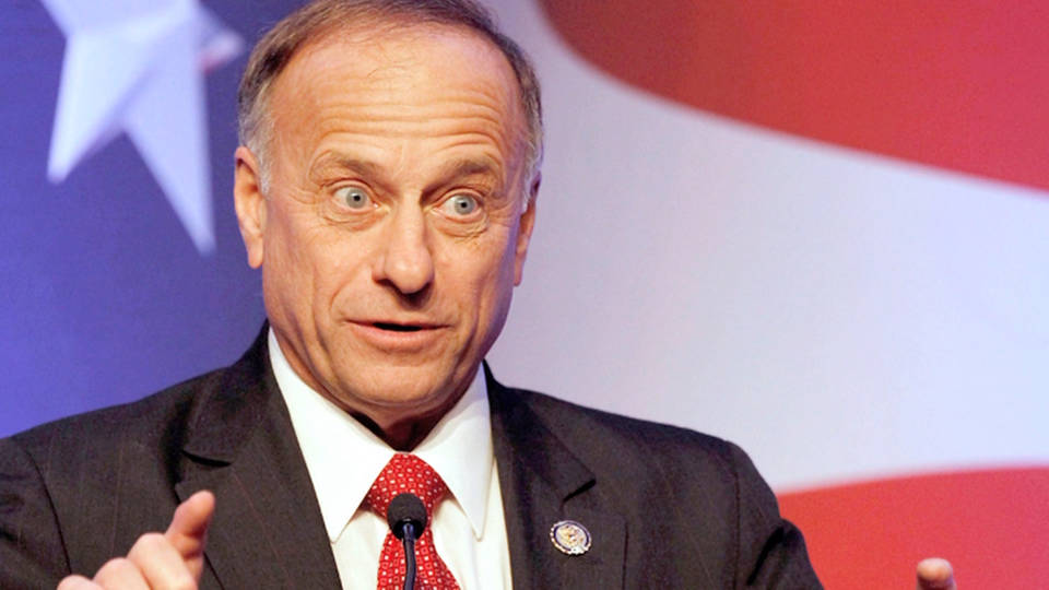 H13 iowa republican steve king retweets neo nazi