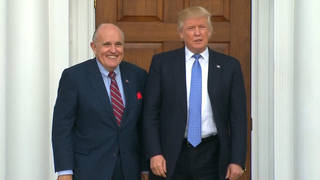 H13 giuliani