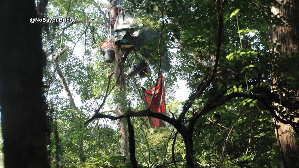 H10 bayou bridge pipeline protest arrests
