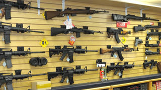 H17 florida passes limited gun control measures