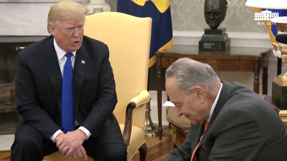 H1 trump schumer