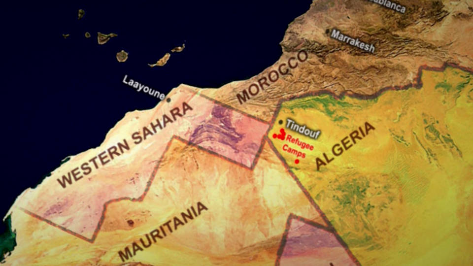 H11 morocco western sahara