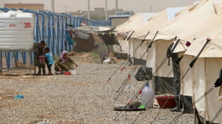 H11 mosul