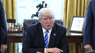 H10 trump