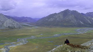 H11 alaska