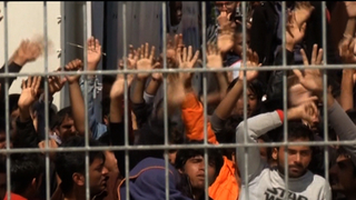 Hdls6 refugees