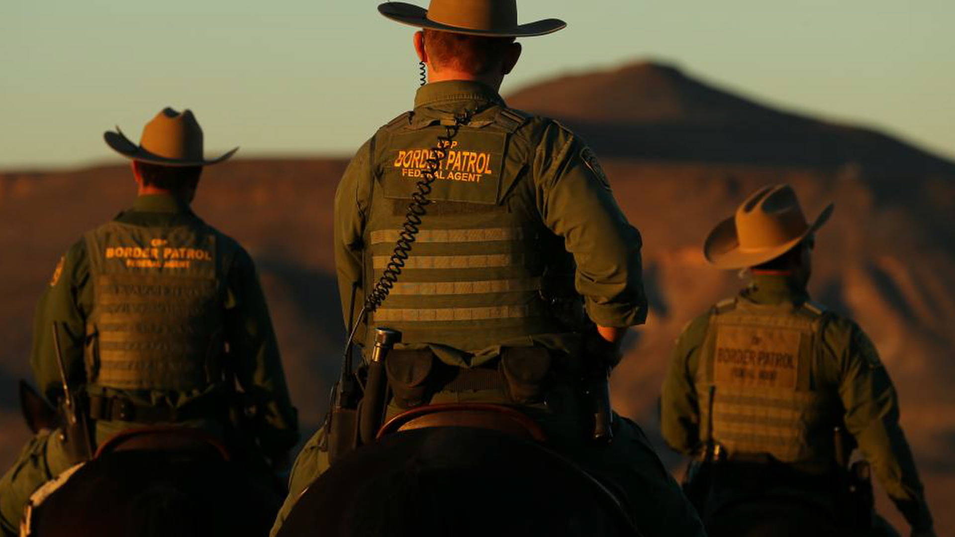 the border patrol state essay the border patrol state essay
