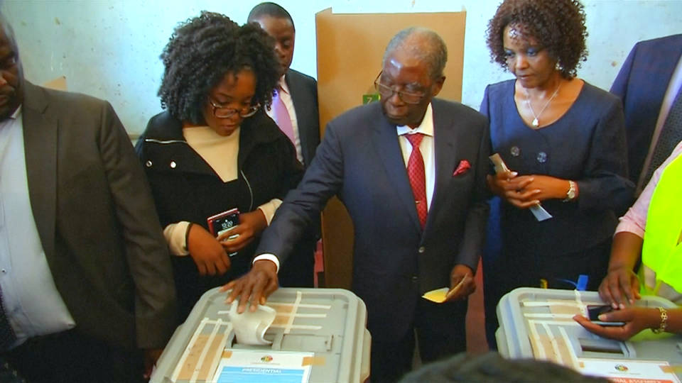 H11 zimbabwe elections