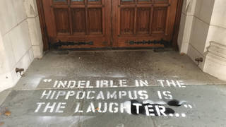 H16 yale graffiti