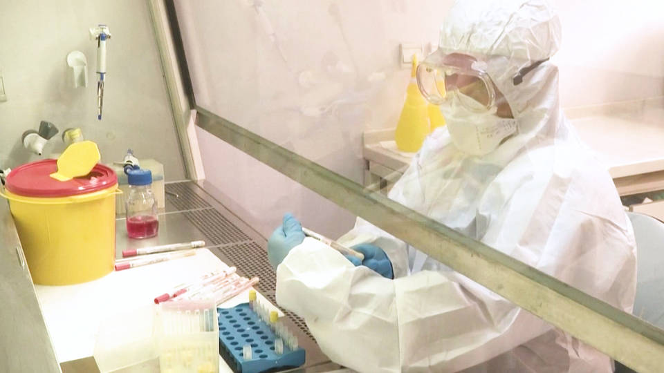 H2 us coronavirus infections quadruple to 1650 actual number believed to be higher