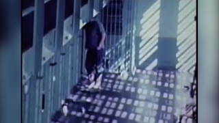 H09 prison
